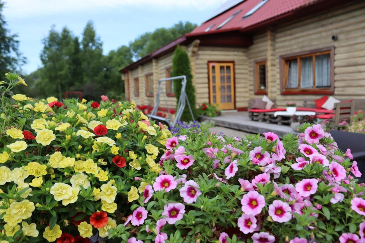 Hotel Viesu Nams Zala Sala Litavniki Exterior foto
