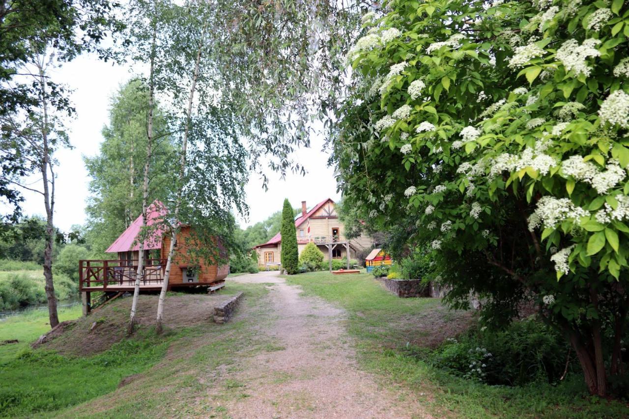 Hotel Viesu Nams Zala Sala Litavniki Exterior foto